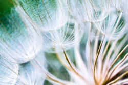 Dimex Vlies Fotótapéta - Marco - 375x250 cm (MS-5-1391)