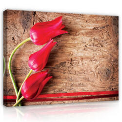 Consalnet Vászonkép, Tulipánok, 80x60 cm méretben (C5-163O6)