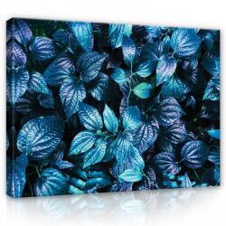 Consalnet Vászonkép, Levelek 80x60 cm méretben (C5-12728O6)