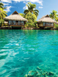 Consalnet Hawaii poszter, fotótapéta, Vlies (206x275 cm, álló) (C1-224VEA)