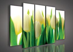 Consalnet Vászonkép, 5 darabos Tulipánok 150x100 cm méretben (C5-987S12)