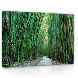 Consalnet Erdő, vászonkép, 70x50 cm méretben (C5-12632O7)