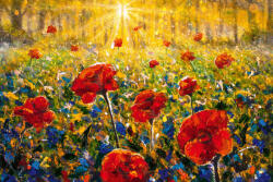Dimex Vlies Fotótapéta - Sunrise Sunset in forest landscape - 375x250 cm (MS-5-1962)