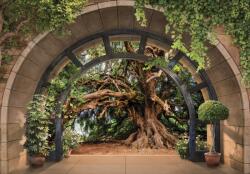 Consalnet Boltíven át kilátás a fára poszter, fotótapéta, Vlies (416 x 254 cm) (C1-14089VEXXXL)