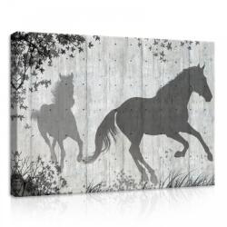 Consalnet Lovak, vászonkép, 70x50 cm méretben (C5-20302O7)