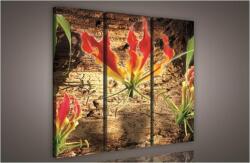 Consalnet Virág, 3 darabos vászonkép, 90x80 cm méretben (C5-620S6)