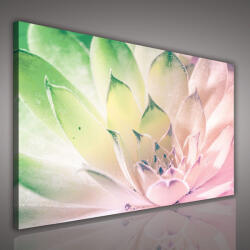 Consalnet Vászonkép, Zöld-rózsaszín absztrakt virág, 80x60 cm méretben (C5-2135O6)