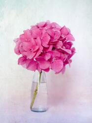 Consalnet Virágcsokor poszter, fotótapéta, Vlies (184x254 cm, álló) (C1-12692V4A)