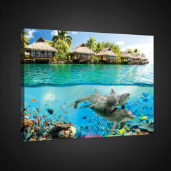 Consalnet Vászonkép, Delfinek, 100x75 cm méretben (C5-20283O1)