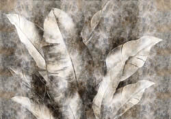 Consalnet Nagy foltos banánlevél poszter, fotótapéta, Vlies (400 x 280 cm) (C1-15544VX8)