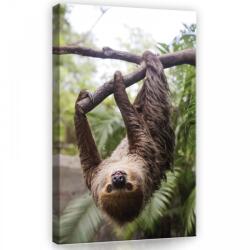 Consalnet Lajhár, vászonkép, 40x60 cm méretben (C5-11858O4)