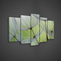 Consalnet Vászonkép 5 darabos, Pitypang 100x60 cm méretben (C5-269S17)