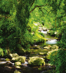 Dimex STREAM fotótapéta, poszter, vlies alapanyag, 225x250 cm (MS-3-0079)