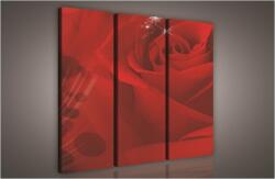 Consalnet Rózsa, 3 darabos vászonkép, 90x80 cm méretben (C5-126S6)