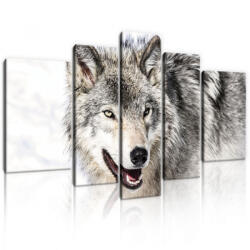 Consalnet Vászonkép, 5 darabos, Farkas 170x100 cm méretben (C5-20307S4A)