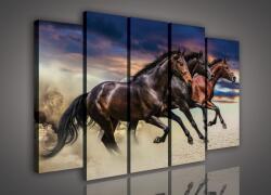 Consalnet Vászonkép, 5 darabos Lovak 150x100 cm méretben (C5-496S12)