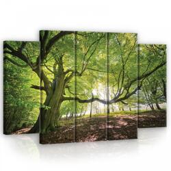Consalnet Vászonkép, 5 darabos Erdő 150x100 cm méretben (C5-11799S12)