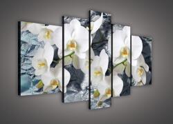 Consalnet Vászonkép, 5 darabos, Orchideák 170x100 cm méretben (C5-1505S4A)
