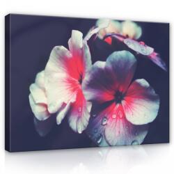 Consalnet Vászonkép, Virág, 100x75 cm méretben (C5-12755O1)
