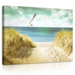 Consalnet Vászonkép, Út a tengerpartra, 60x40 cm méretben (C5-11595O4)