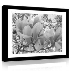 Consalnet Vászonkép, Fekete-fehér magnólia, 100x75 cm méretben (C5-11312O1)