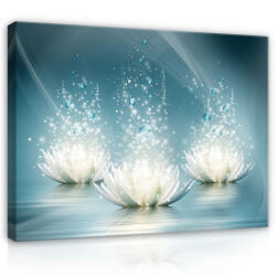 Consalnet Vászonkép, Tavirózsák 80x60 cm méretben (C5-10224O6)