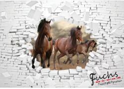 Consalnet Lovak poszter, fotótapéta, Vlies (100 x 75 cm) (C1-10606VX2)