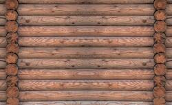 Consalnet Fatörzsek poszter, fotótapéta, Vlies (368 x 254 cm) (C1-2214V8)