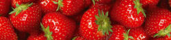 Dimex STRAWBERRY öntapadós konyhai poszter, 260x60 cm (KI-260-025)