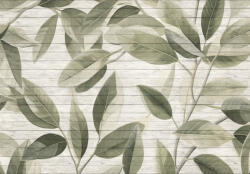 Consalnet Zöld levelek a deszkafalon poszter, fotótapéta, Vlies (300 x 210 cm) (C1-15303VX6)