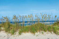 Dimex Vlies Fotótapéta - Grass at the beach - 375x250 cm (MS-5-3220)