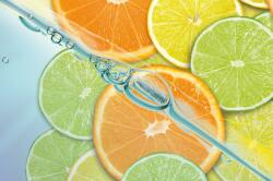 Consalnet Citrus poszter, fotótapéta (152, 5 x 104 cm) (C1-110VEL)
