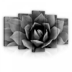 Consalnet Vászonkép 5 darabos, Rózsabimbó fekete-fehérben 100x60 cm méretben (C5-12684S17)