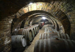 Sverus Fotótapéta Artisan Vintage Wine Cellar, 416 x 290 cm (SV-40128004WM-416X290CM)