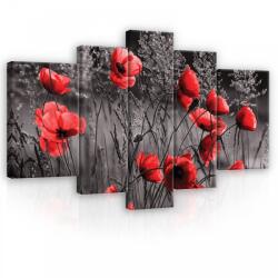Consalnet Vászonkép, 5 darabos, Pipacsok 170x100 cm méretben (C5-11763S4A)