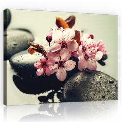 Consalnet Cseresznyevirág, vászonkép, 60x40 cm méretben (C5-11408O4)