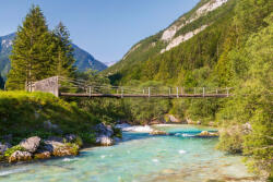 Dimex Vlies Fotótapéta - Bridge over the river - 375x250 cm (MS-5-1609)