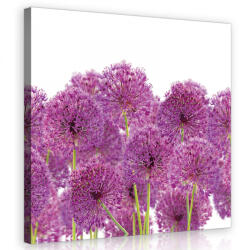 Consalnet Hagymavirág, vászonkép 80x80 cm méretben (C5-11398O2)