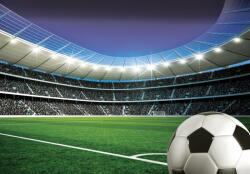 Consalnet Focilabda a stadionban poszter, fotótapéta, Vlies (368 x 254 cm) (C1-14550V8)