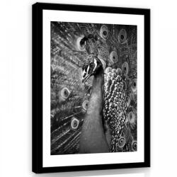 Consalnet Vászonkép, Páva, 75x100 cm méretben (C5-11323O1)