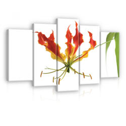 Consalnet Vászonkép 5 darabos, Kúszó liliom 100x60 cm méretben (C5-20437S17)