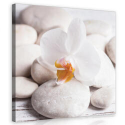 Consalnet Zen kövek virággal, vászonkép 80x80 cm méretben (C5-11791O2)