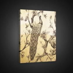 Consalnet Vászonkép, Páva, 75x100 cm méretben (C5-2593O1)