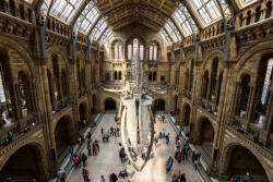 Dimex Vlies Fotótapéta - New Hintze hall - 375x250 cm (MS-5-0941)