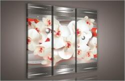 Consalnet Orchidea absztrakt, 3 darabos vászonkép, 90x80 cm méretben (C5-902S6)