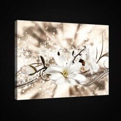 Consalnet Vászonkép, Virág design, 100x75 cm méretben (C5-2525O1)