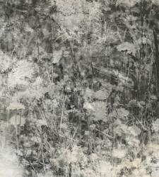 Dimex Természet szürke fotótapéta, poszter, vlies alapanyag, 225x250 cm (MS-3-0361)