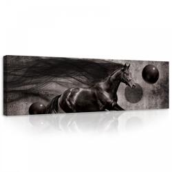 Consalnet Ló, vászonkép, 145x45 cm méretben (C5-20303O3)