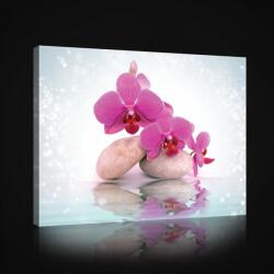 Consalnet Orchidea, vászonkép, 60x40 cm méretben (C5-2678O4)