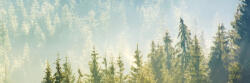 Dimex FOG ABOVE FOREST öntapadós konyhai poszter, 180x60 cm (KI-180-141)